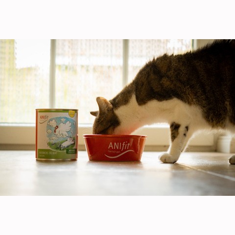 Cat Wet pet food Turkey's Delight (Puterichs Delight) 810g 6 Piece -3- Anifit