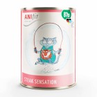 Katze Nassfutter BIO Steak Sensation 400g 6 Stück -1- Anifit